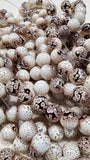 10MM GLASS BEADS - PAINTED AND BAKED - OLD LACE