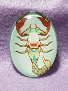 CABOCHON - 40 X 30MM GLASS OVAL - ZODIAC SIGNS
