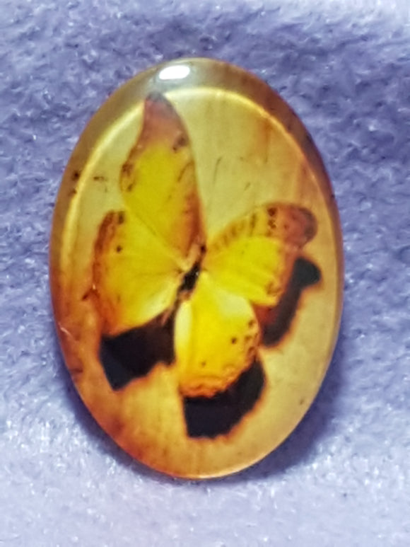 CABOCHON - 35 X 25MM GLASS OVAL - BUTTERFLIES
