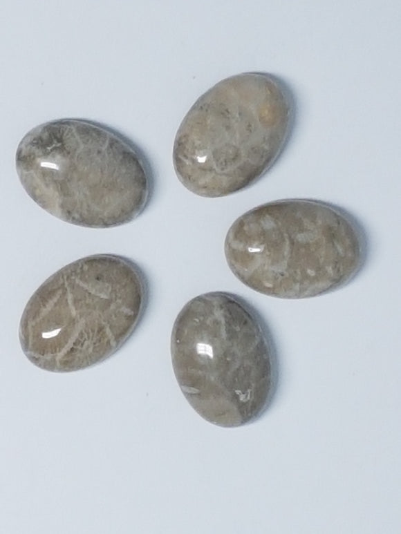 CABOCHONS 14X10MM OVAL NATURAL CHRYSANTHEMUM STONE