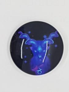 CABOCHON - 25 X 6MM GLASS ROUND - STAR SIGN CAPRICORN